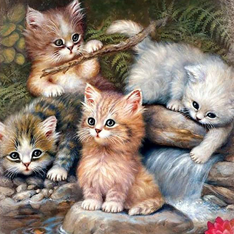 Katzen sicher halten: Was jeder verantwortungsbewusste Haustierbesitzer tun muss