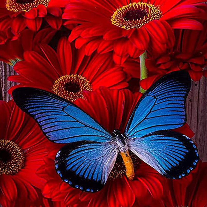 Schmetterling in Blumen|Diamond Painting