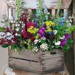 Lade das Bild in den Galerie-Viewer, Bunte Blumen in einer Schachtel|Diamond Painting

