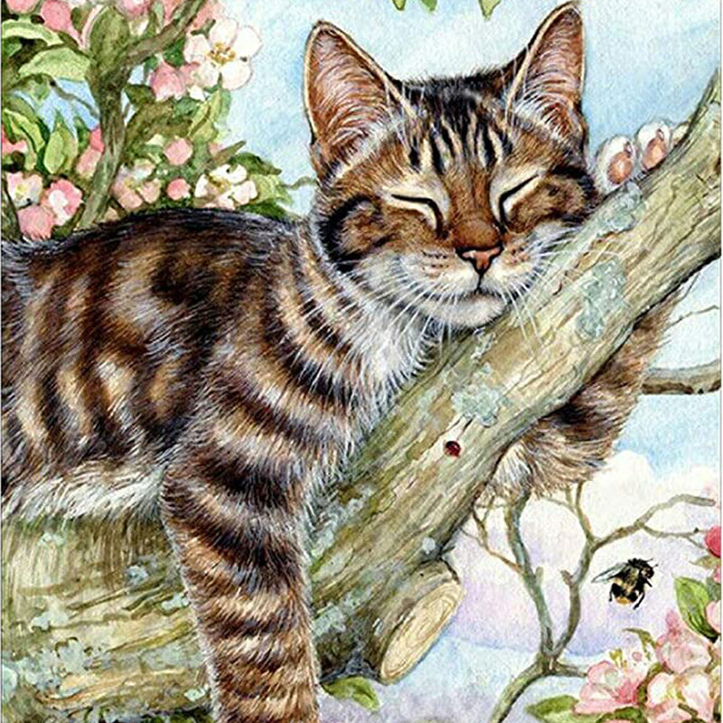 Schlafende Katze|Diamond Painting