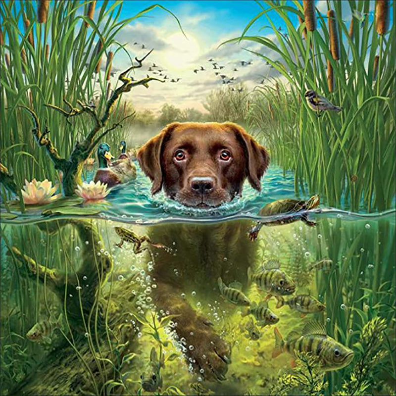 Schwimmhund|Diamond Painting