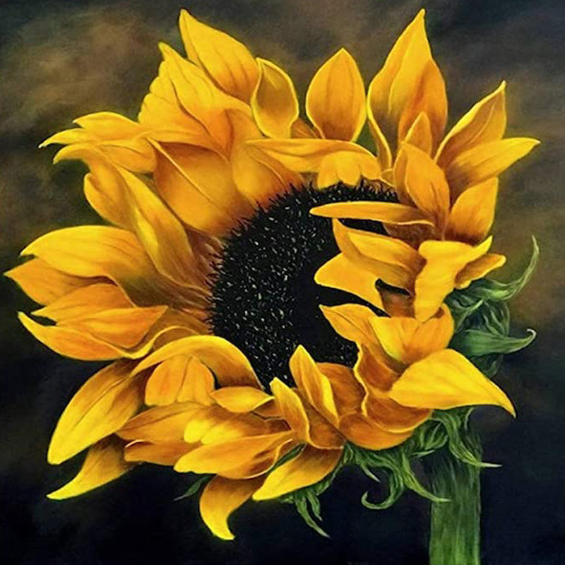 Die schüchterne Sonnenblume|Diamond Painting