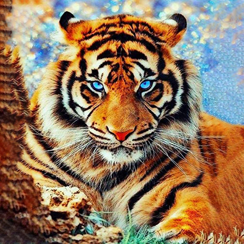 Tiger mit blauen Augen|Diamond Painting