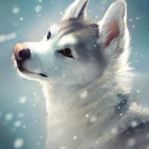 Weißer Wolf im Schnee|Diamond Painting