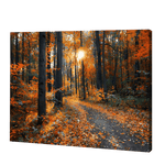 Lade das Bild in den Galerie-Viewer, Herbstbäume im Dschungel|Diamond Painting
