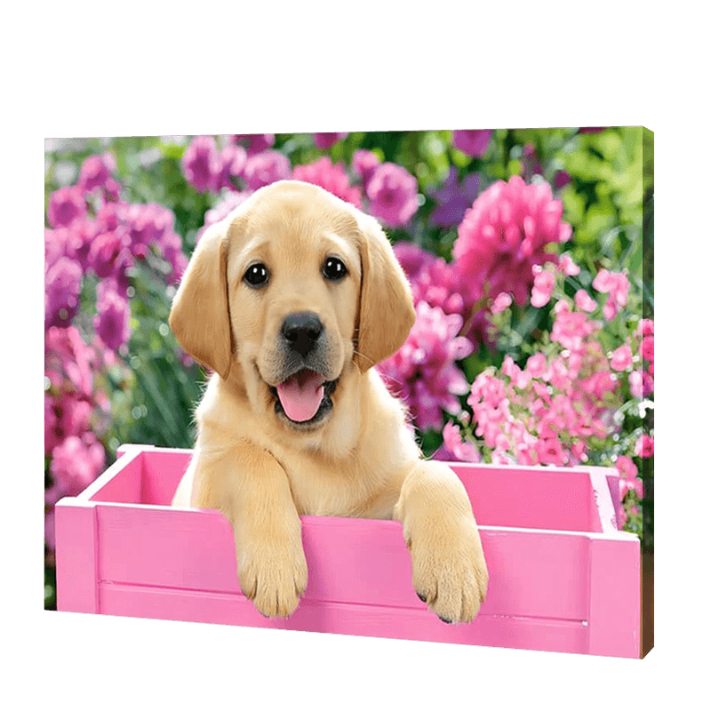Hund in einer rosa Box|Diamond Painting