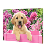 Lade das Bild in den Galerie-Viewer, Hund in einer rosa Box|Diamond Painting
