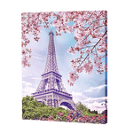 Lade das Bild in den Galerie-Viewer, Eiffelturm Landschaft Schonheit|Diamond Painting
