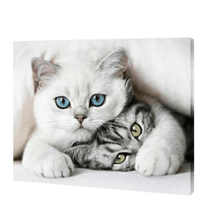 Freundliche Katzen|Diamond Painting