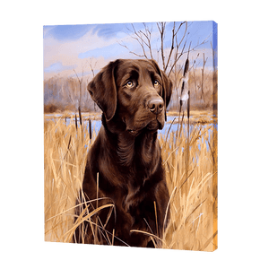 Labrador auf einem Feld|Diamond Painting