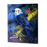 Lade das Bild in den Galerie-Viewer, Papagei bei Nacht|Diamond Painting
