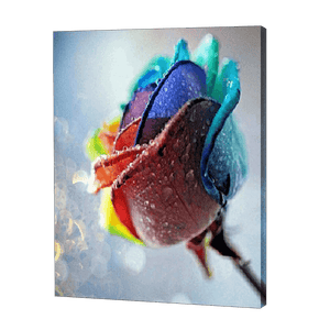 Regenbogen taufrische Rose|Diamond Painting