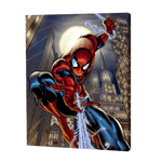 Lade das Bild in den Galerie-Viewer, Spiderman|Diamond Painting

