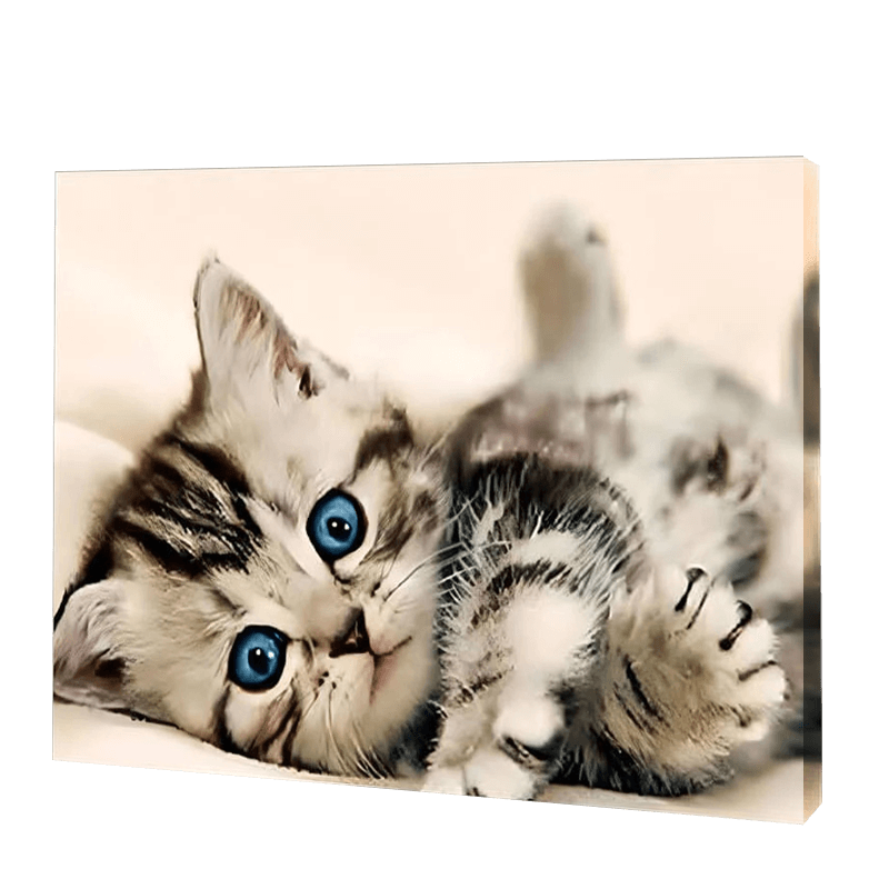 Das Kätzchen mit den blauen Augen|Diamond Painting