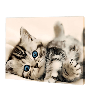 Das Kätzchen mit den blauen Augen|Diamond Painting