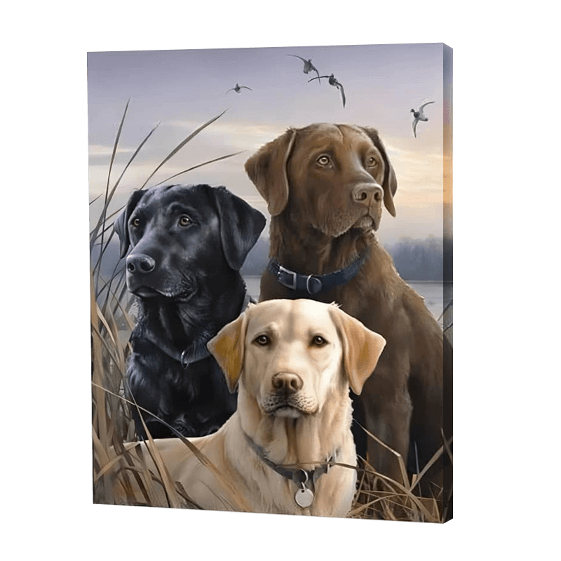 Drei Hunde auf einem Feld|Diamond Painting