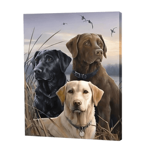 Drei Hunde auf einem Feld|Diamond Painting