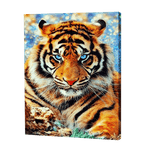 Lade das Bild in den Galerie-Viewer, Tiger mit blauen Augen|Diamond Painting
