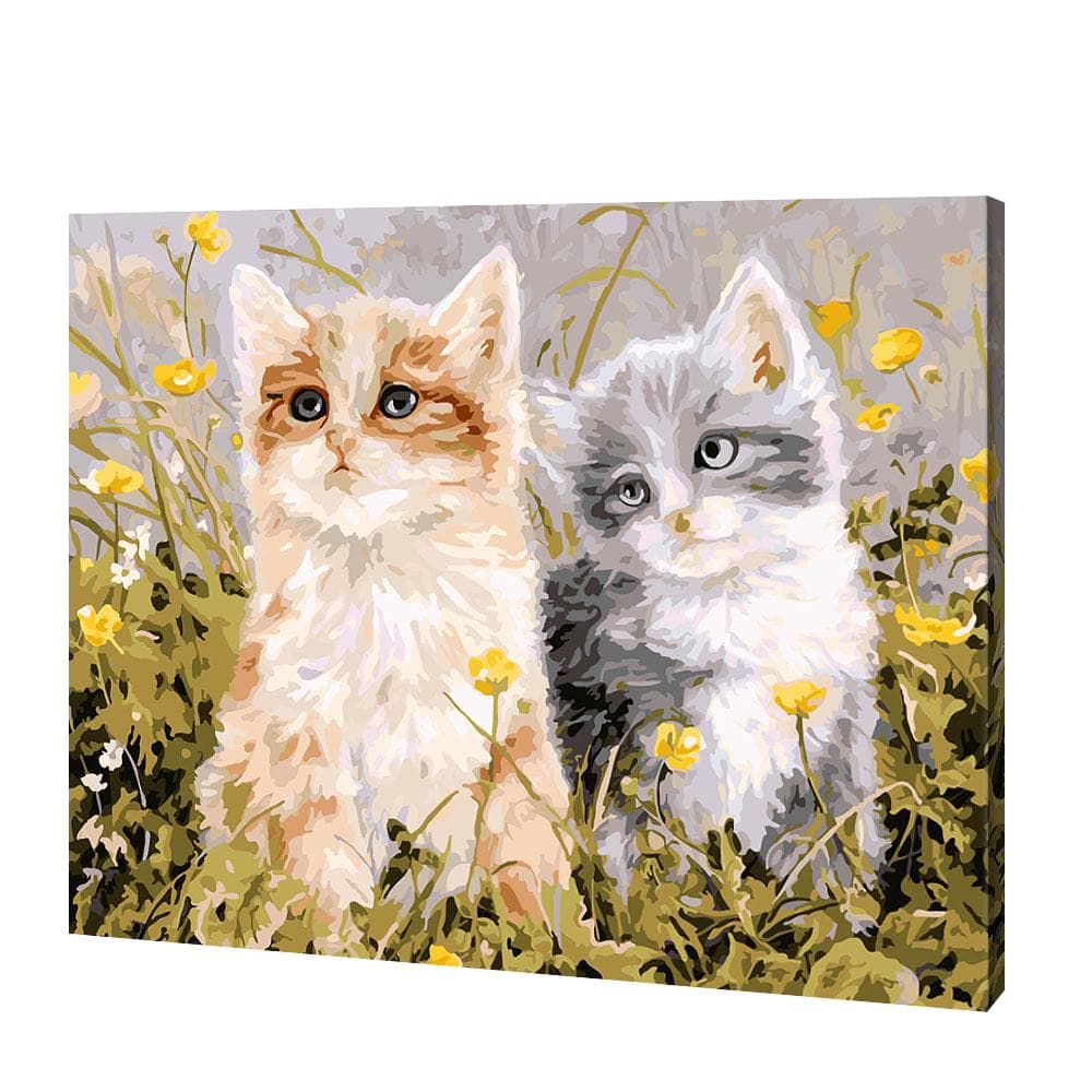 Zwei kleine Kätzchen|Diamond Painting