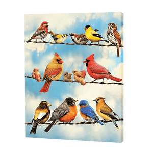 Vielfalt der Vogel|Diamond Painting