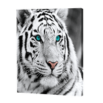 Lade das Bild in den Galerie-Viewer, Weißer Tiger|Diamond Painting
